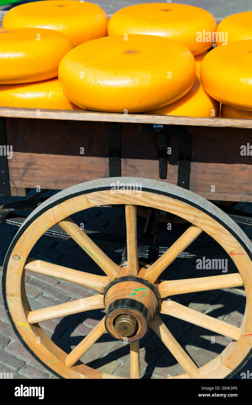 Tours de roues / Gouda sur chariot à chariot Waagplein Square, le marché aux fromages d'Alkmaar, Pays-Bas Banque D'Images