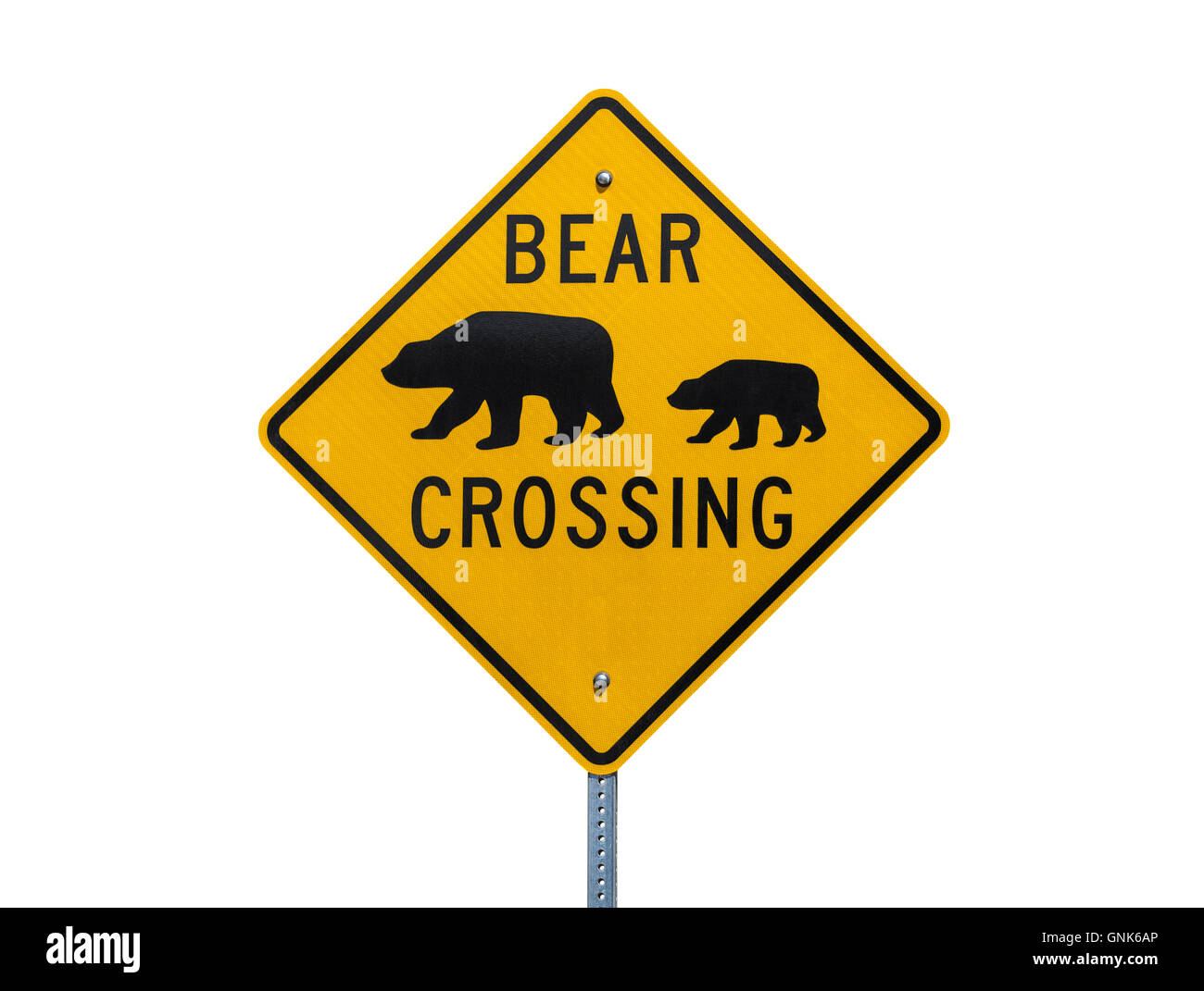 Bear Crossing panneau routier isolé sur blanc. Banque D'Images