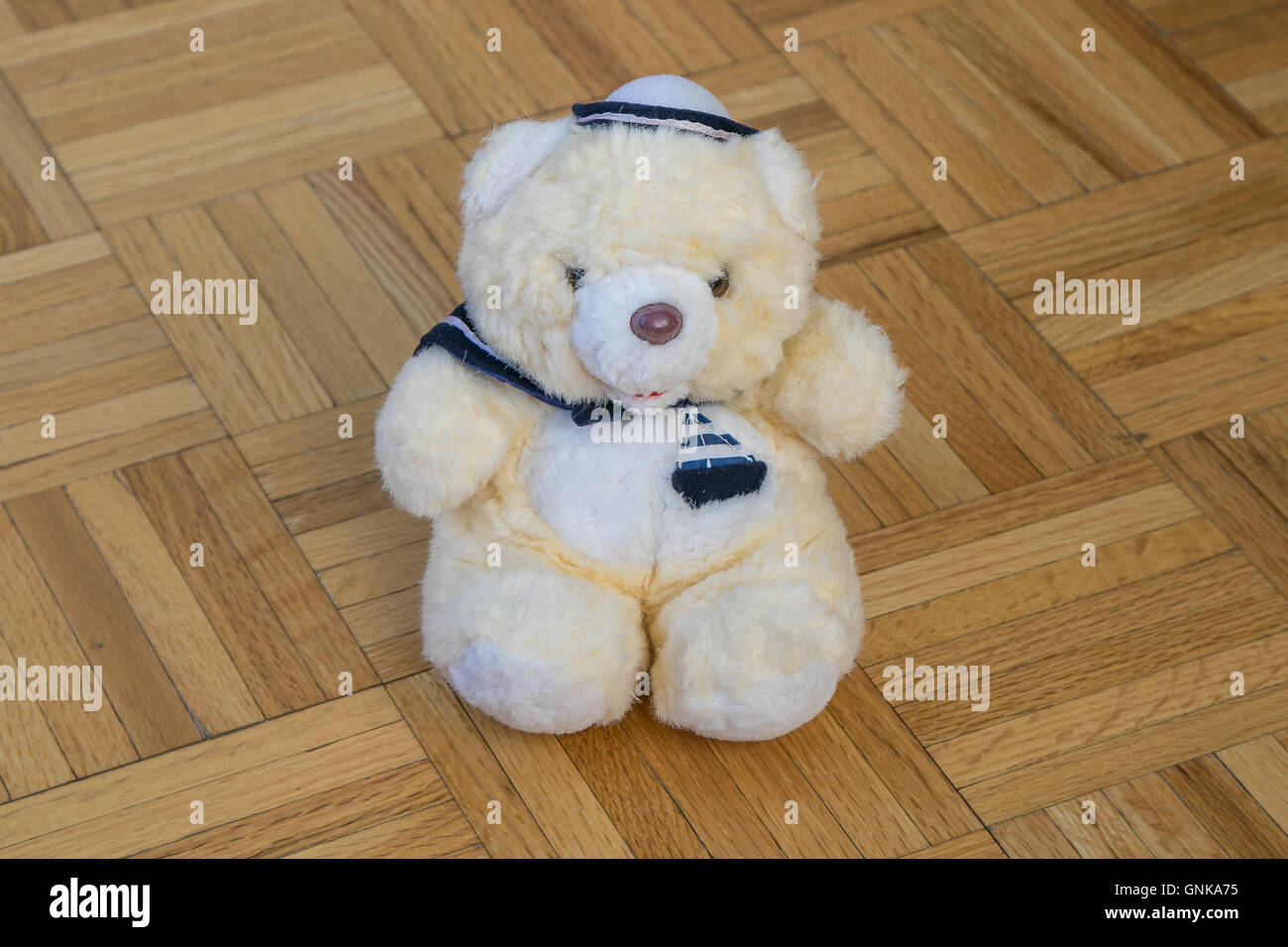 Ours marin blanc sur un sol en parquet Banque D'Images