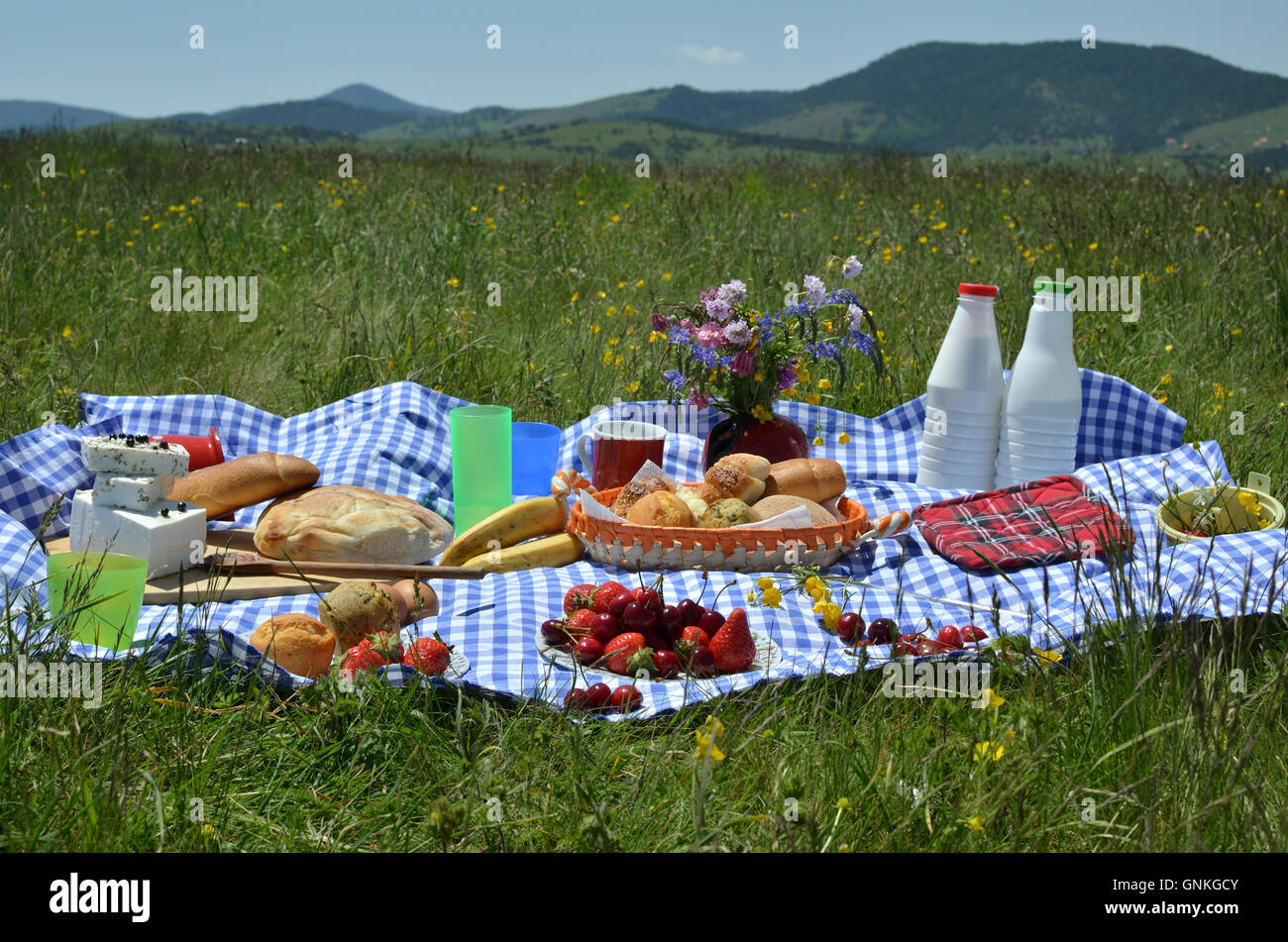 Close up avec un délicieux pique-nique de propagation de fruits frais, pâtisseries, fromages sur une nappe à carreaux avec des collines en arrière-plan Banque D'Images