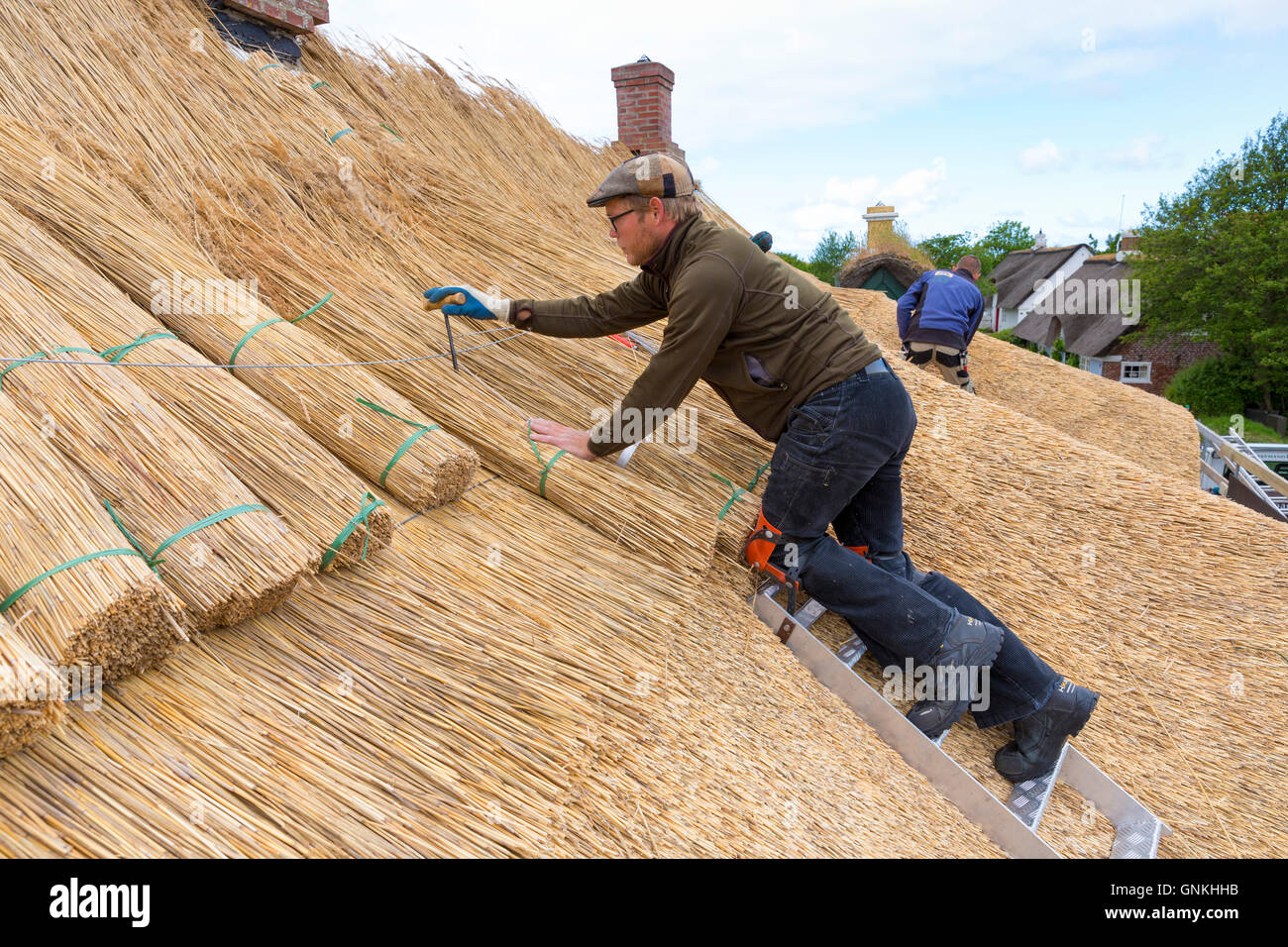 Nouveau toit de chaume Thatchers méthode traditionnelle avec meules de roseaux/se précipite sur la chaumière à l'île de Fano, Danemark Banque D'Images