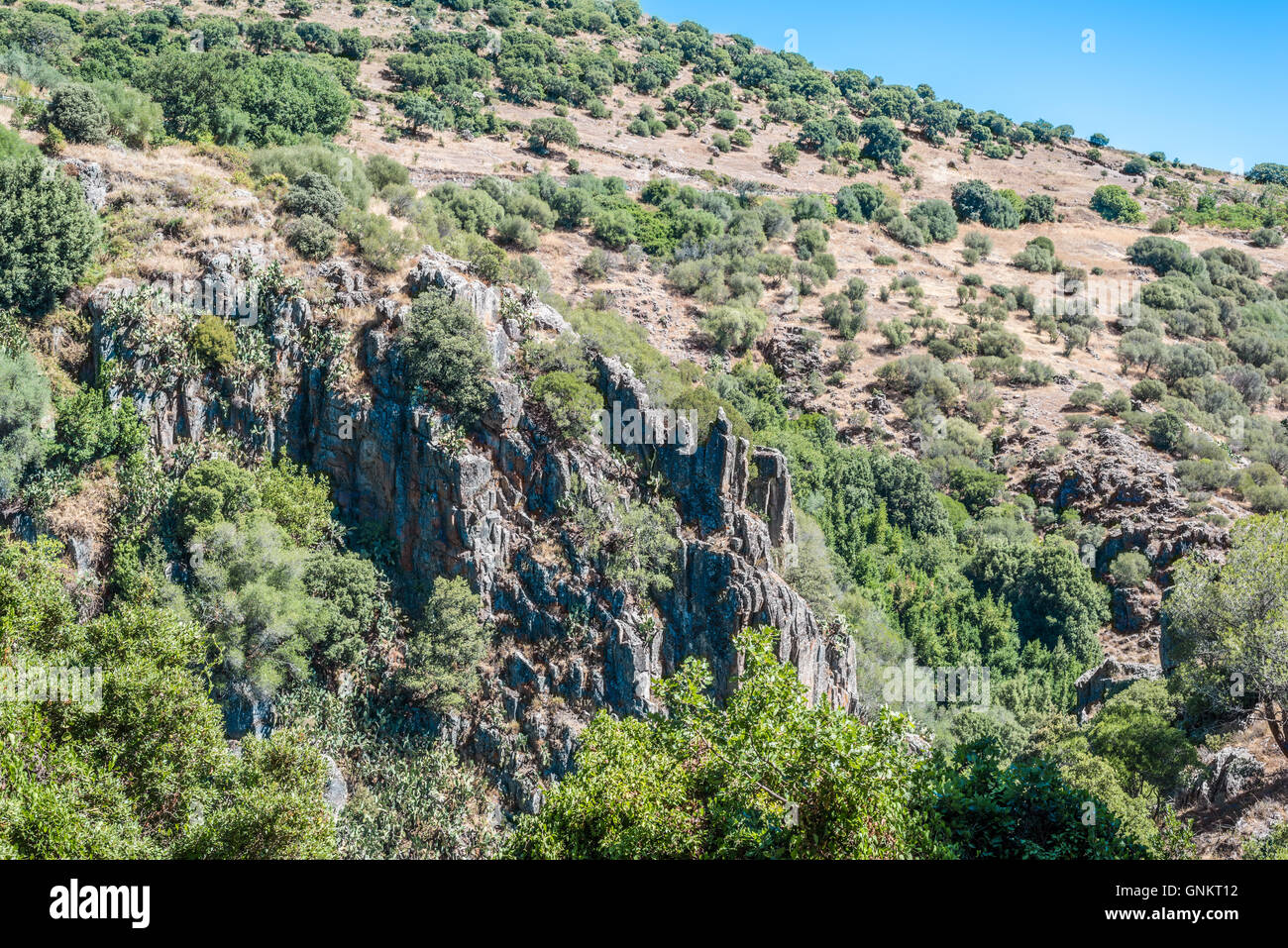 Rochers dans la forêt sarde en journée d'été Banque D'Images