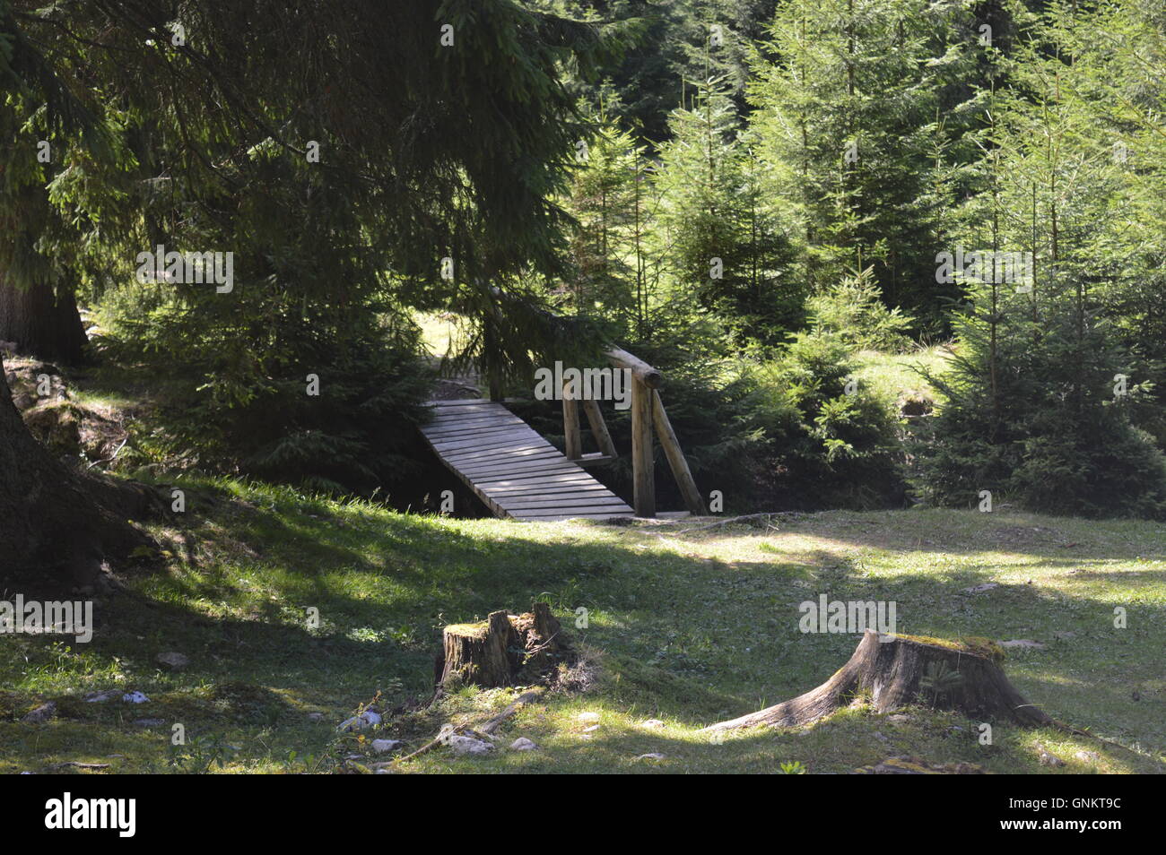 Un pont de bois sur une rivière dans une clairière Banque D'Images