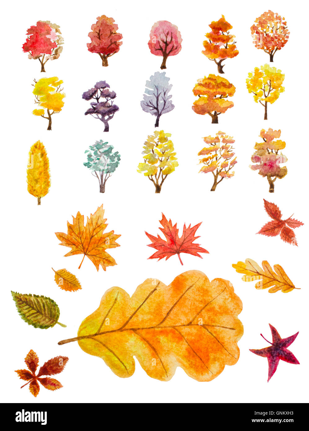 Ensemble de l'aquarelle les arbres d'automne et de feuilles. illustration peinte à la main Banque D'Images