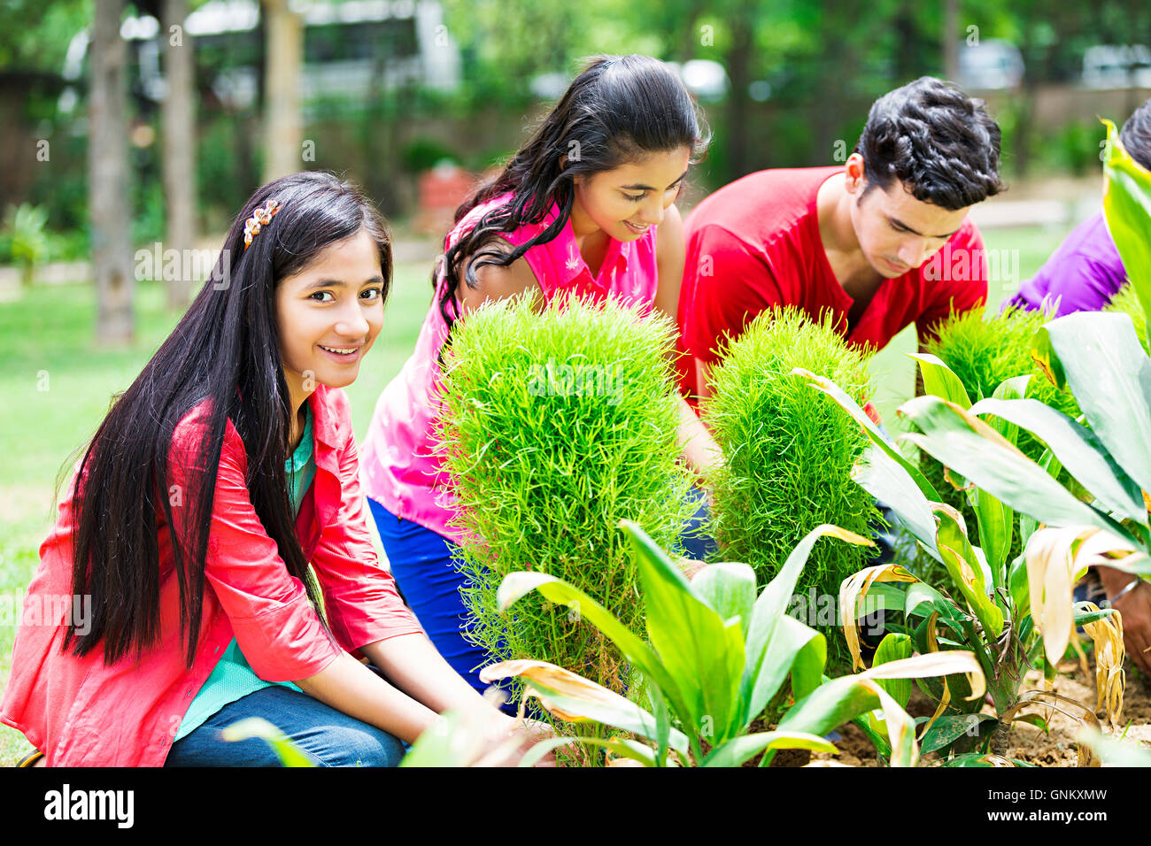 4 jeunes garçons et filles parc amis végétaux plantation de plantes Banque D'Images