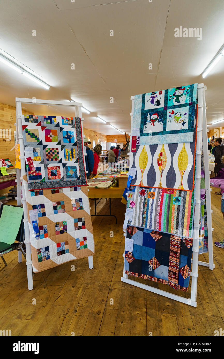 L'Île du Prince Édouard, Canada, Aug 27,2016. De l'artisanat et des légumes à la Prince Edward Island labour et foire agricole Banque D'Images