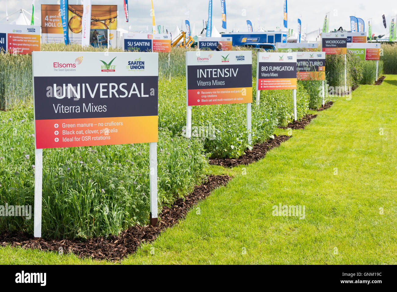 Un affichage des variétés à une foire agricole, les céréales en 2016, avec des signes d'Elsom's seeds Banque D'Images