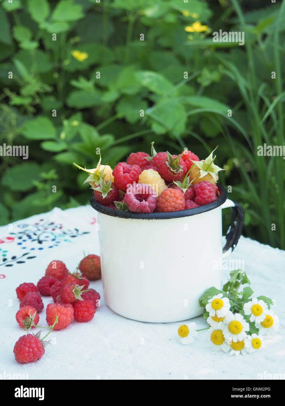 Framboises fraîches dans une tasse sur fond d'herbe verte à l'extérieur Banque D'Images