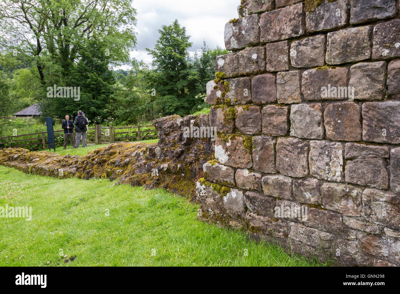 Hare Hill, Cumbria, England, UK. Une section du mur d'Hadrien, reconstruit au 19ème. Siècle. Banque D'Images
