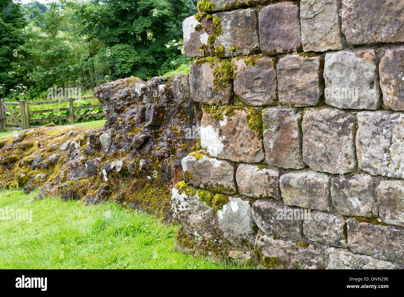 Hare Hill, Cumbria, England, UK. Une section du mur d'Hadrien, reconstruit au 19ème. Siècle. Banque D'Images