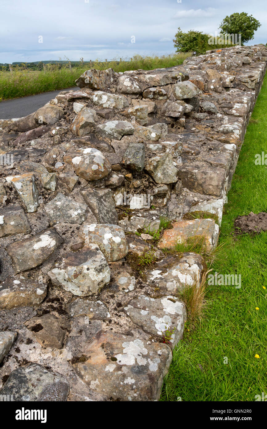 Cumbria, Angleterre, Royaume-Uni. La construction du mur près de Birdoswald Fort, mur d'Hadrien, sentier pédestre. Banque D'Images