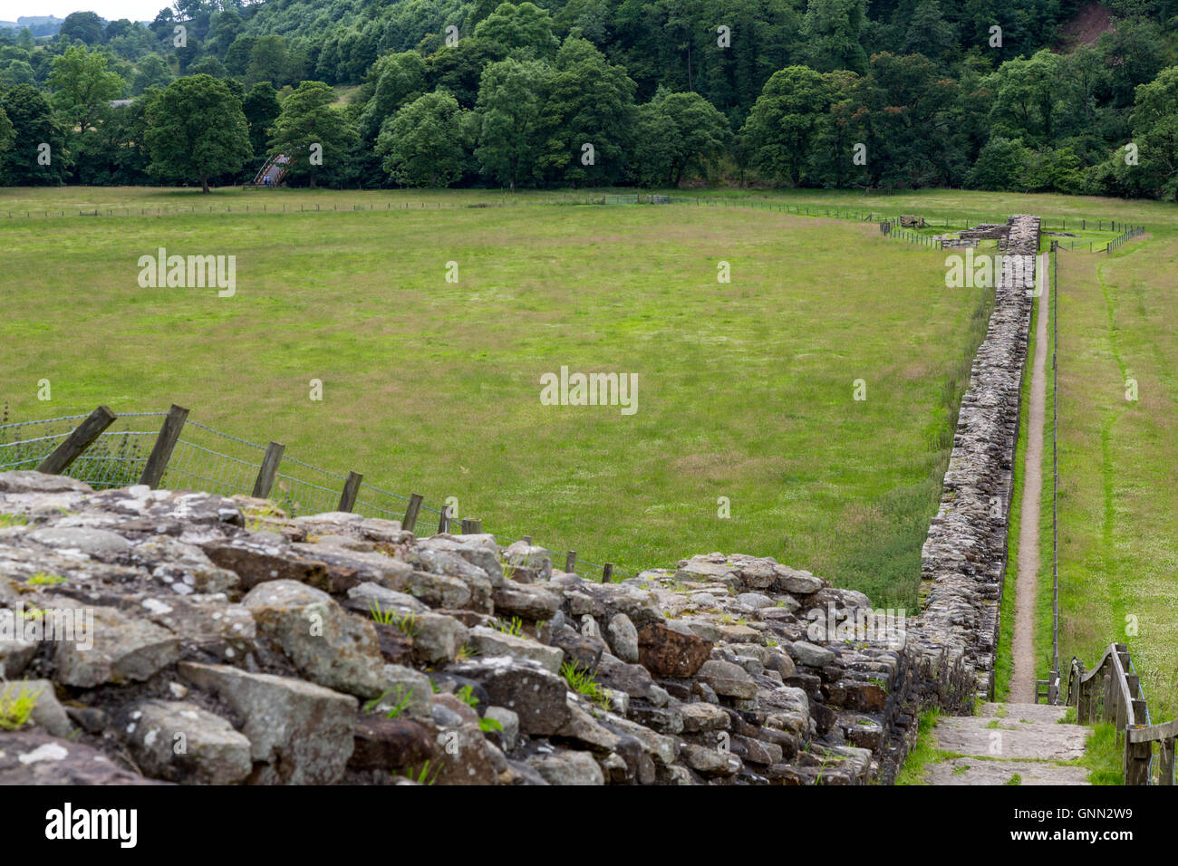 Cumbria, Angleterre, Royaume-Uni. Mur d'Hadrien à Willowford Farm, près de Gilsland, regard vers les culées de pont romain à la rivière Irthing. Banque D'Images