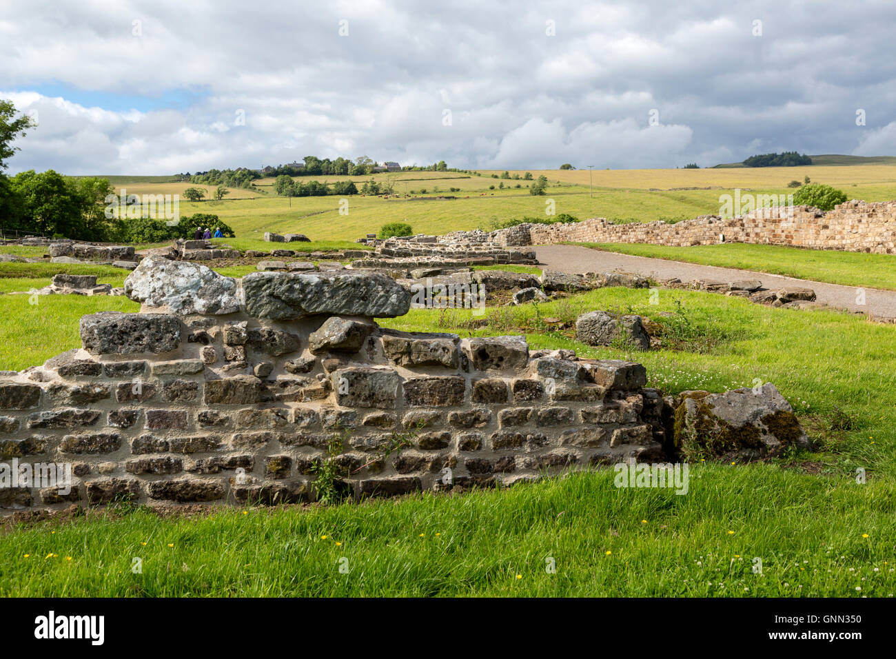 Northumberland, England, UK. En direction nord depuis Fort romain de Vindolanda. Banque D'Images
