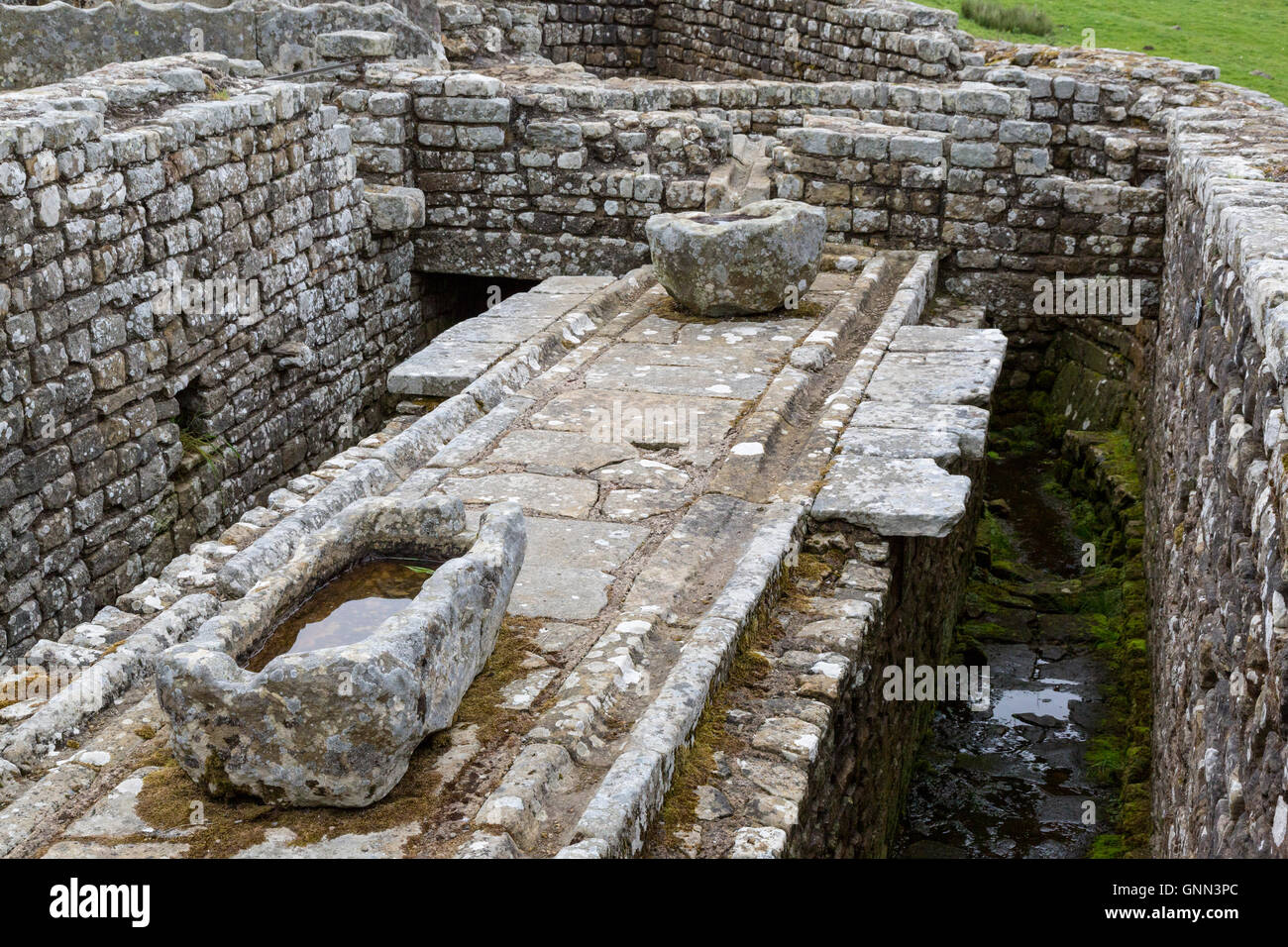Northumberland, England, UK. Les latrines, Fort romain de Housesteads (Vercovicium). Banque D'Images