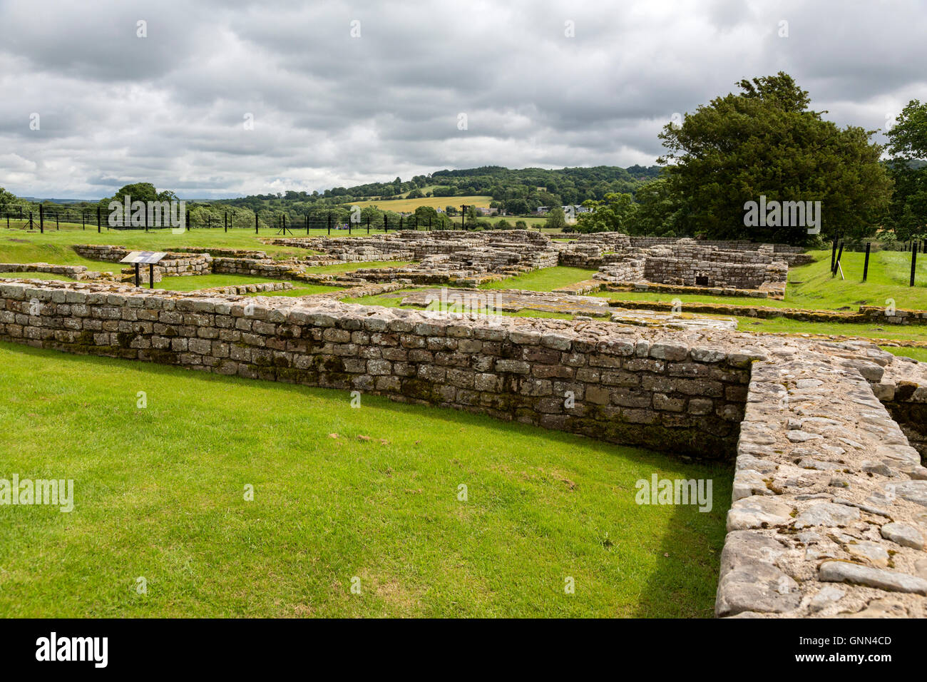 Northumberland, England, UK. (Cilurnum Chesters Roman Fort), à la maison du commandant vers. Banque D'Images