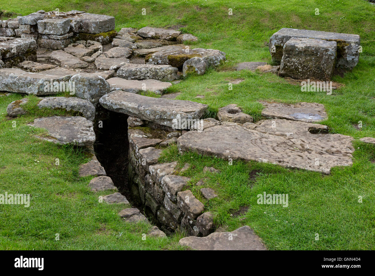 Northumberland, England, UK. (Cilurnum Chesters) Roman Fort. Canal d'eau, Entrée Nord entrée. Banque D'Images