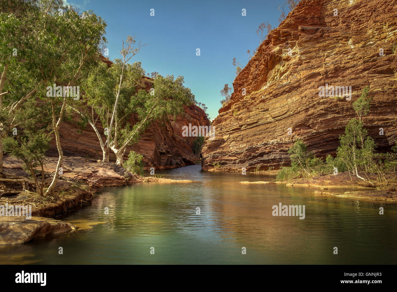 Hamersley Gorge à Parc national de Karijini, Pilbara - Ouest de l'Australie Banque D'Images