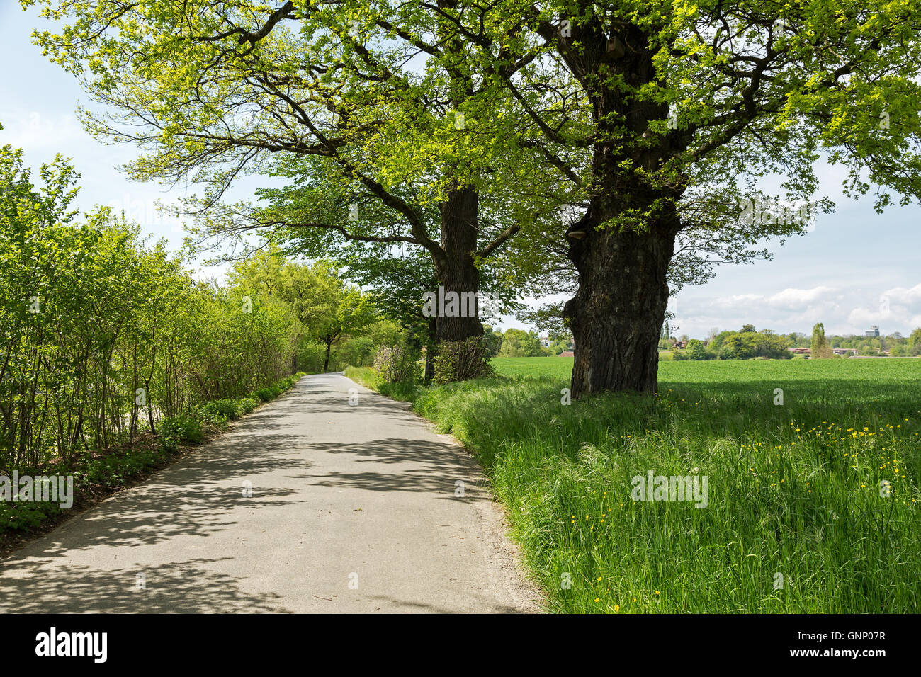 Le paysage rural à la périphérie de Berne Banque D'Images