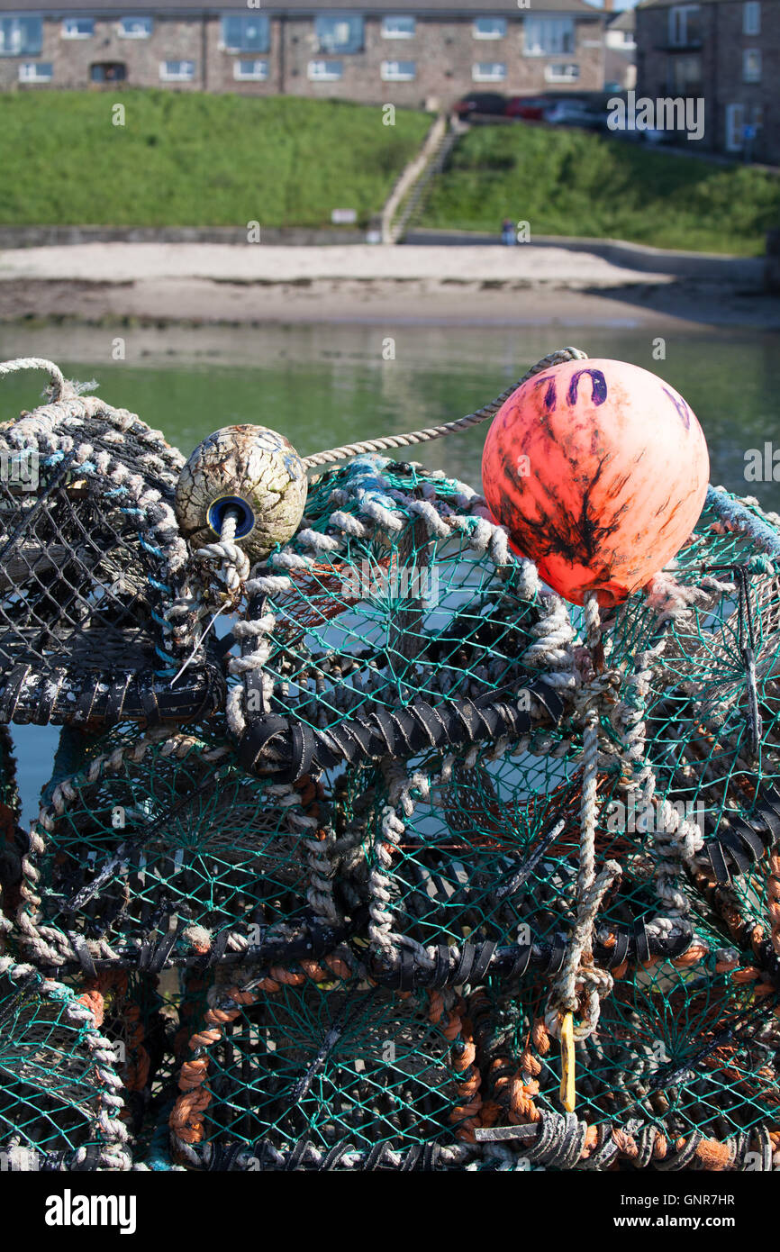 Des casiers à homard et bouée de surface sur le quai du port à Seahouses Angleterre Northumberland Royaume-Uni Grande-Bretagne Banque D'Images