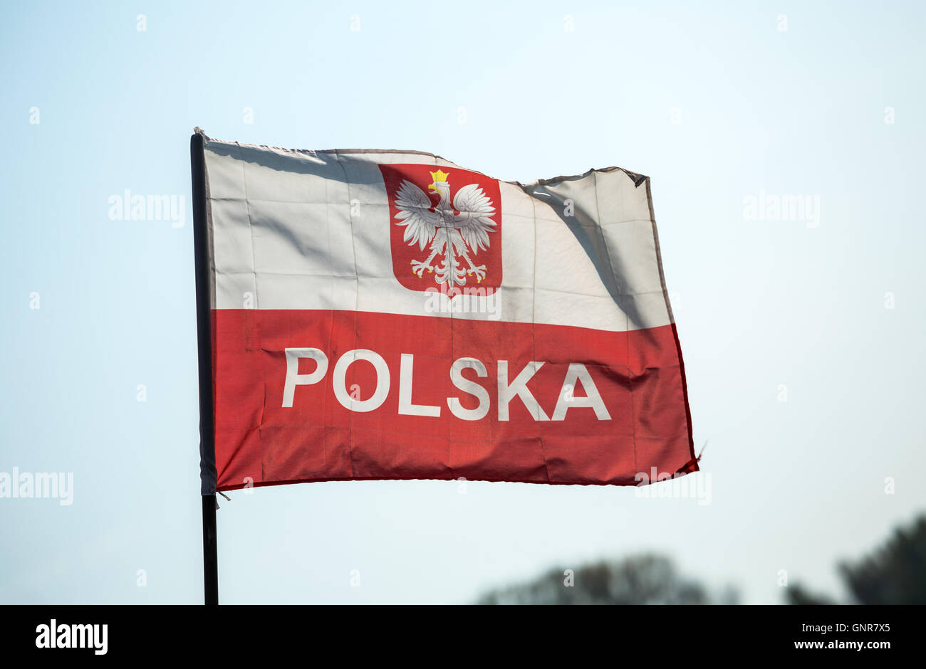 Torun", Pologne, drapeau polonais Banque D'Images