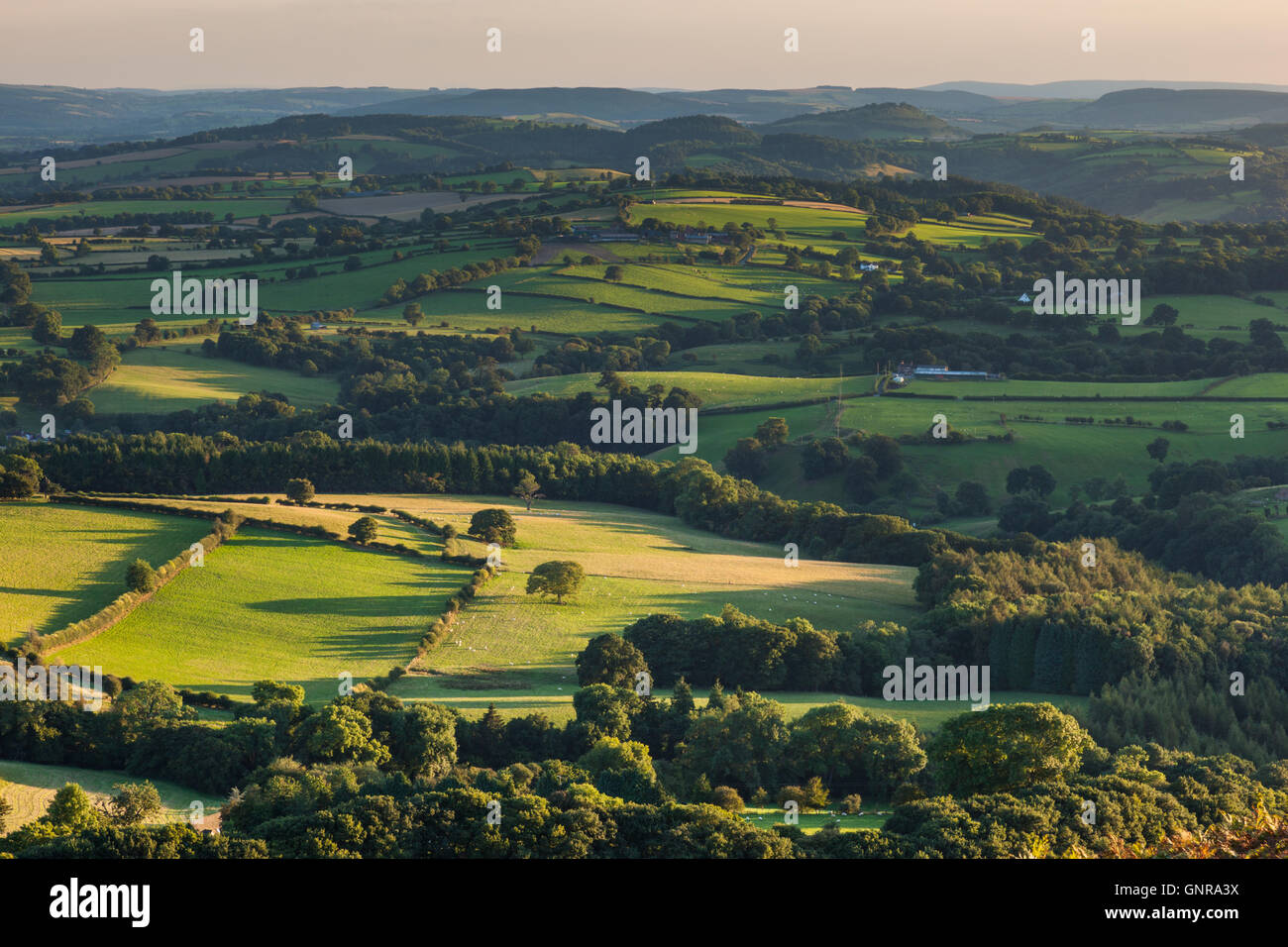 La lumière du soleil du soir sur South Shropshire hills, vu de Ragleth Hill, près de Church Stretton, Shropshire, England, UK Banque D'Images