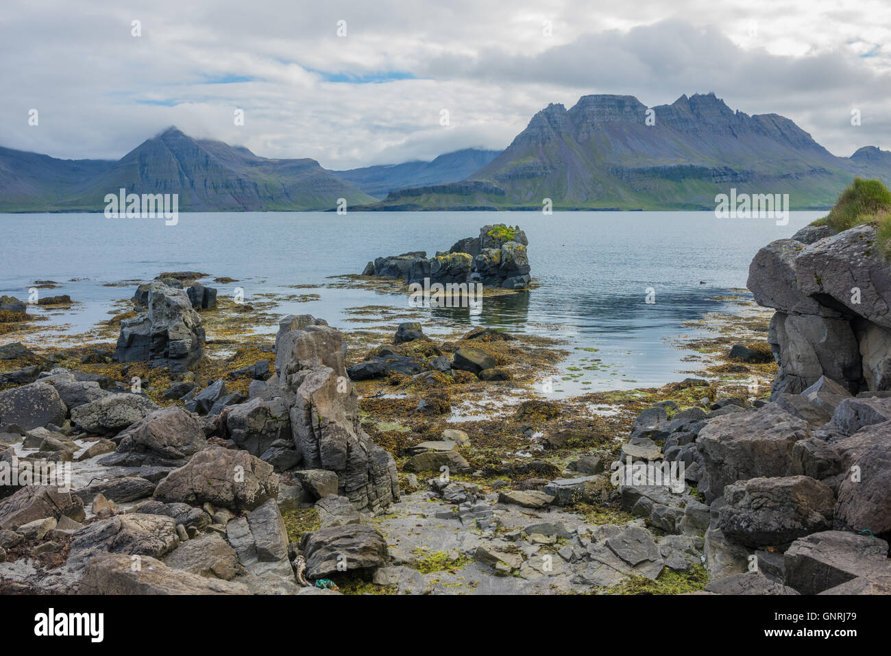 De superbes paysages le long de la côte de Strandir, Islande, Fjords de l'Ouest Banque D'Images
