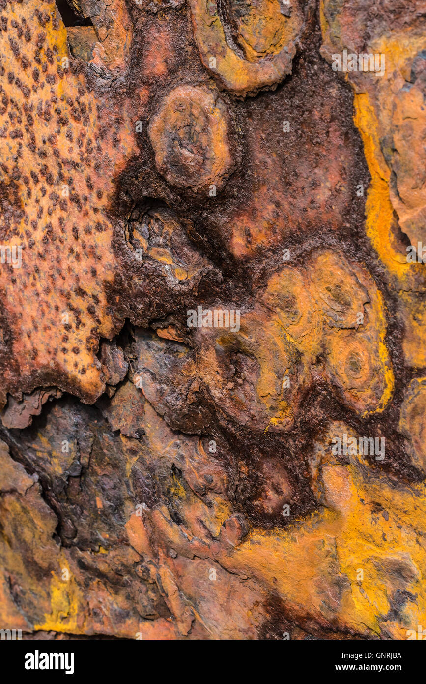 Détail de l'arc de l'épave d'un navire de pêche abandonnés dans le village de Strandir Djupavik dans la côte, Fjords de l'Ouest, l'Islande Banque D'Images