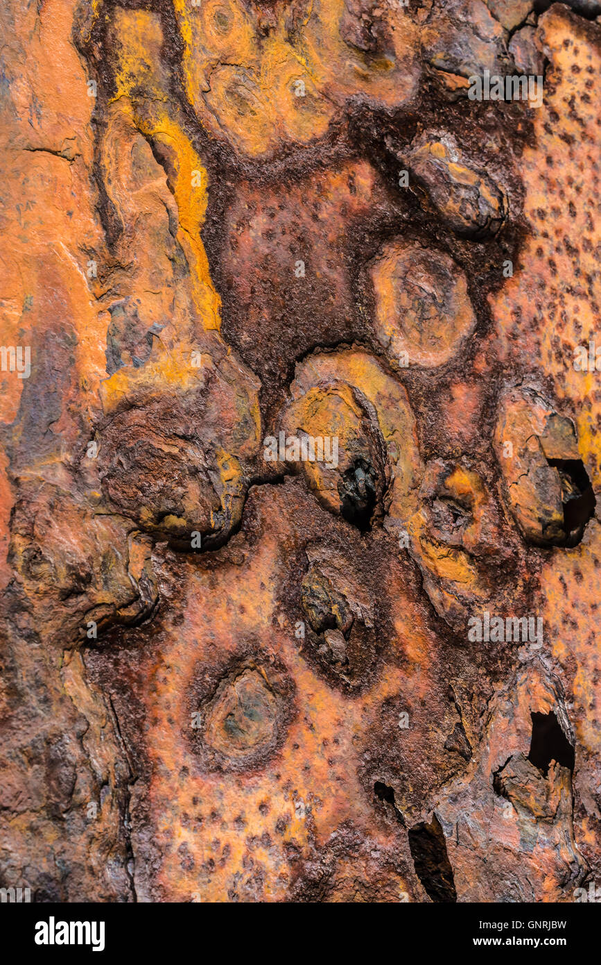 Détail de l'arc de l'épave d'un navire de pêche abandonnés dans le village de Strandir Djupavik dans la côte, Fjords de l'Ouest, l'Islande Banque D'Images