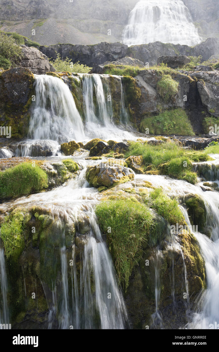 Dynjandi (aussi connu comme Fjallfoss), une série de cascades dans les Fjords de l'Ouest Région de l'Islande. Banque D'Images