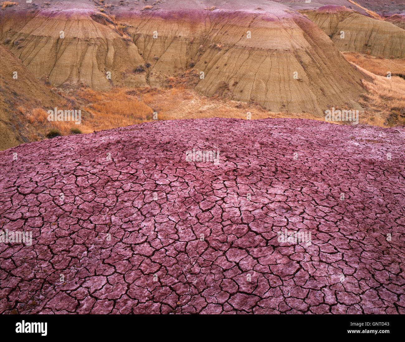 USA, Dakota du Sud, Badlands National Park, unité nord, fortement érodé et tan rouge argile colorée, près de la jungle des fonds marins. Banque D'Images