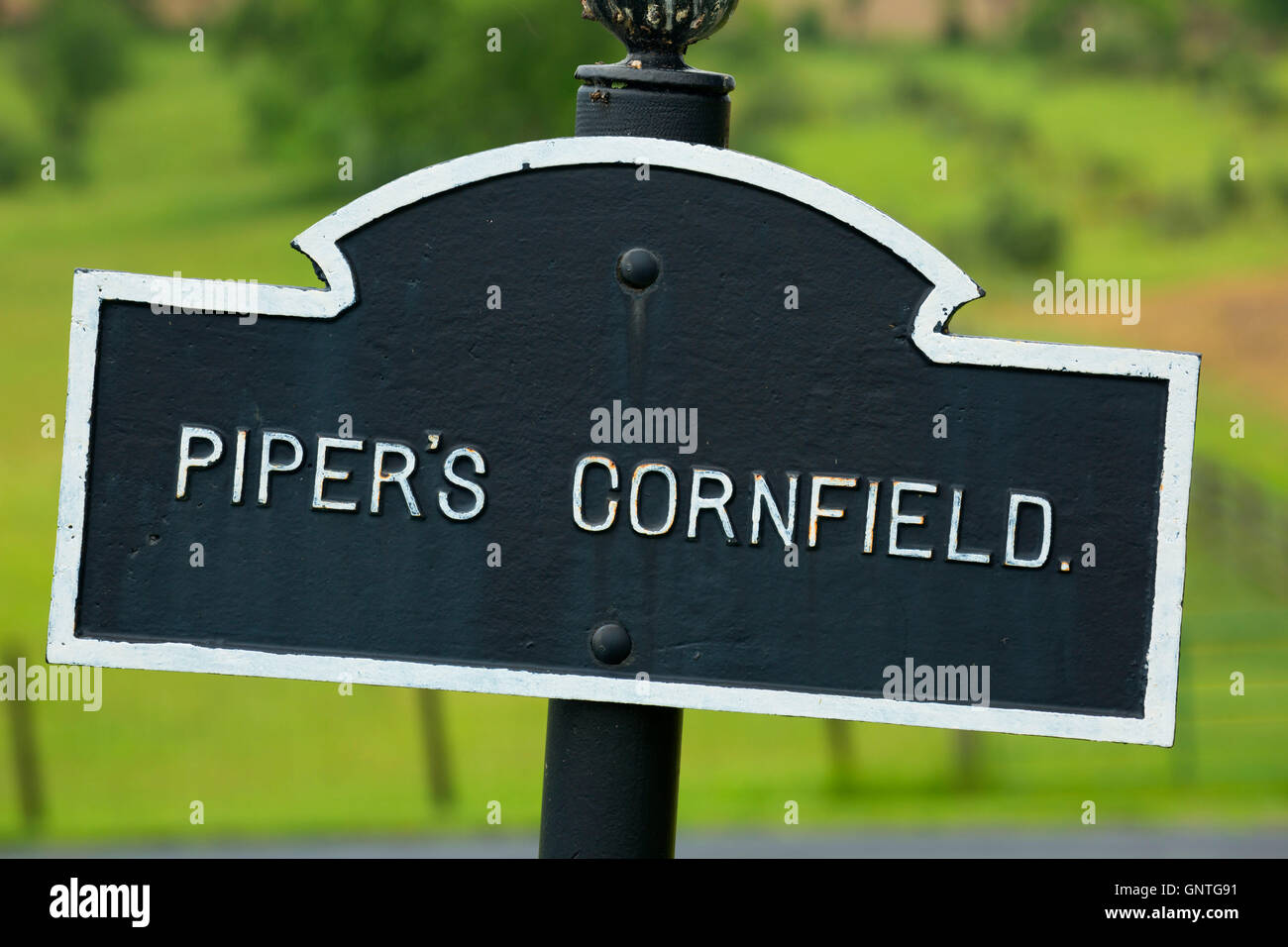Piper's Cornfield signe, champ de bataille National d'Antietam, Maryland Banque D'Images