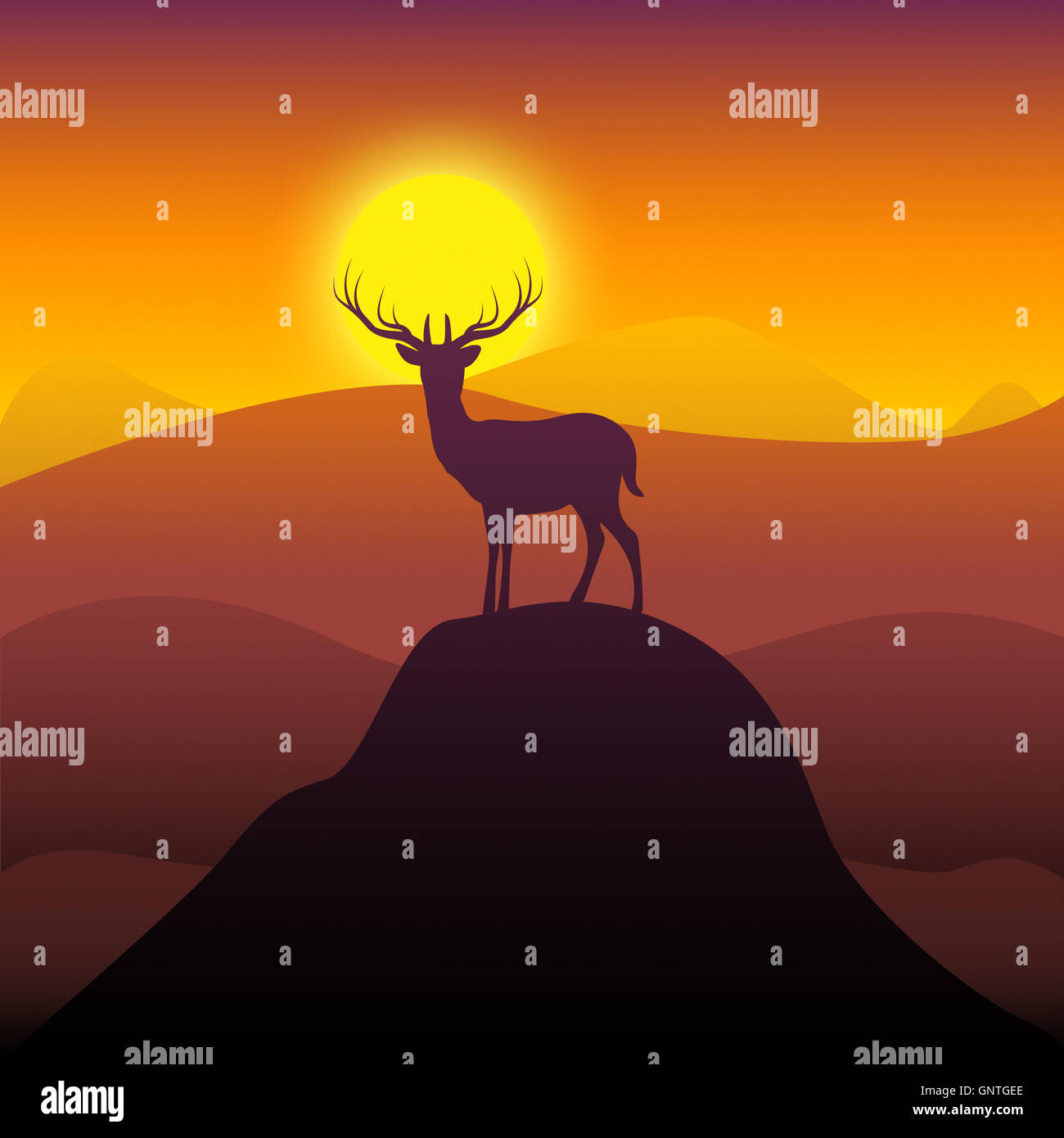 Mountain Deer Buck et la chasse sauvage représentant Banque D'Images