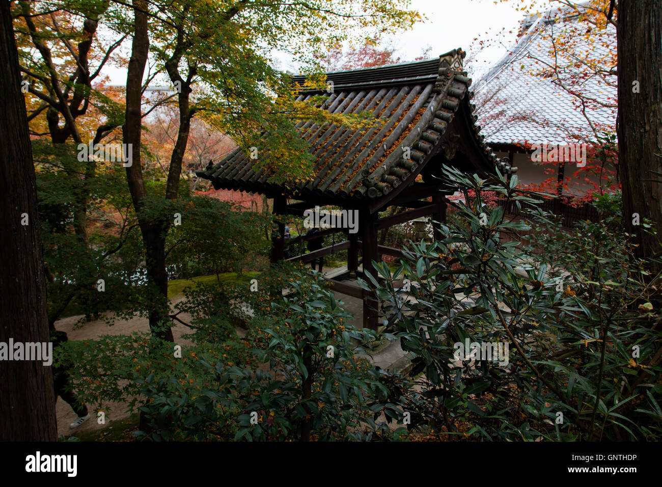 Abri couvert avec bell arbres colorés en automne au Japon Banque D'Images