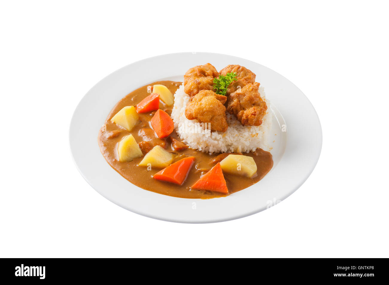 Vue avant de la cuisine japonaise riz au poulet frit et sauce au curry avec des pommes de terre et les carottes dans un plat en céramique o isolés Banque D'Images