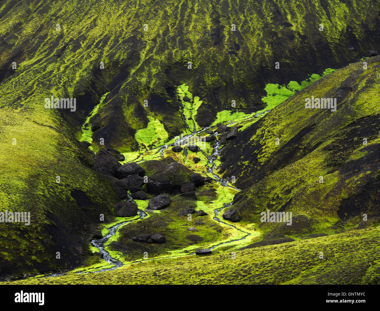 Pentes vert et noir et de la vallée de flux, Svartahnúksfjöll, Islande Banque D'Images