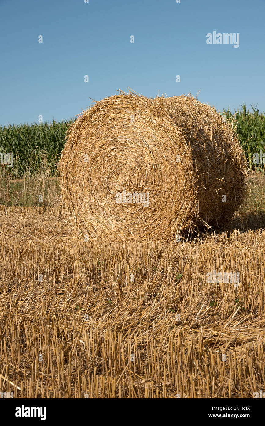 Normandie France - une balle de paille dans un champ à Alencon France Banque D'Images