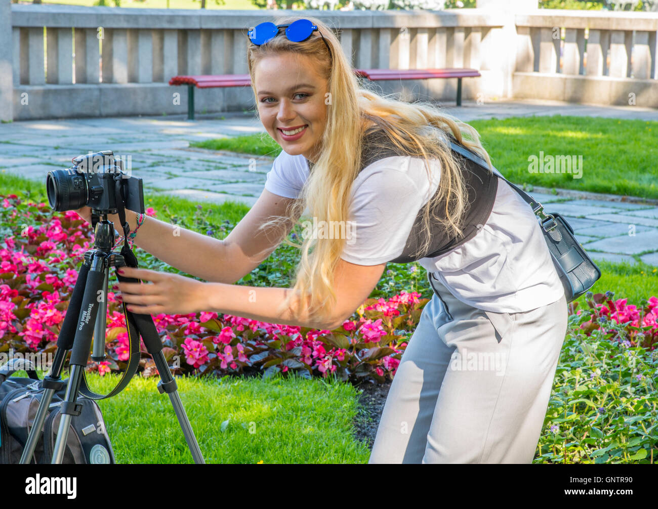Photographe norvégien attrayant à prendre des photos de fleurs rouge en jardin, parc Vigeland, Oslo, Norvège Banque D'Images