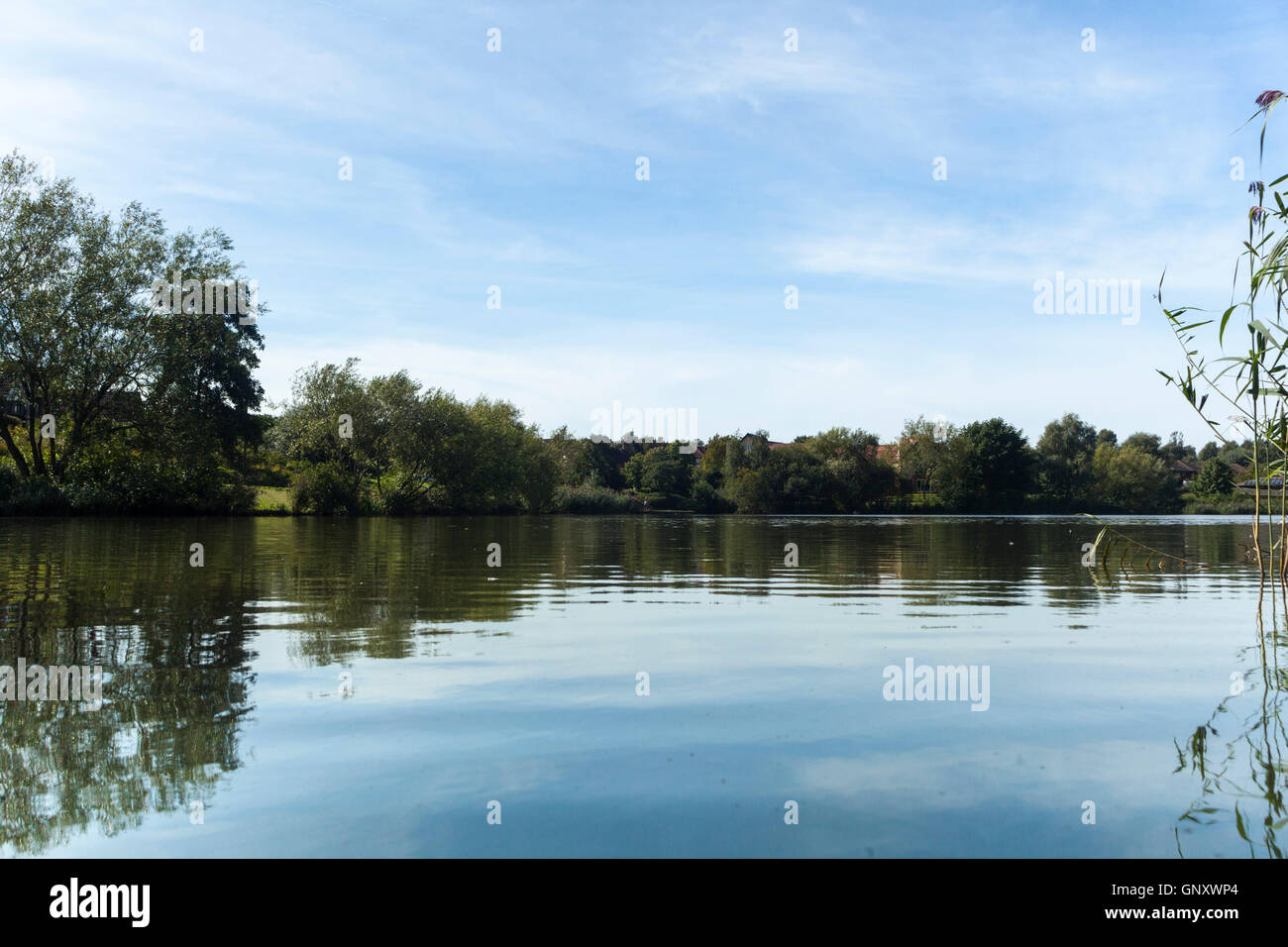 Milton Keynes, Royaume-Uni. 1er septembre 2016. Belle journée ensoleillée sur Lodge Lake avec la température est assis autour de 23 degrés. Crédit : Robert Norris/ Alamy Live News Banque D'Images