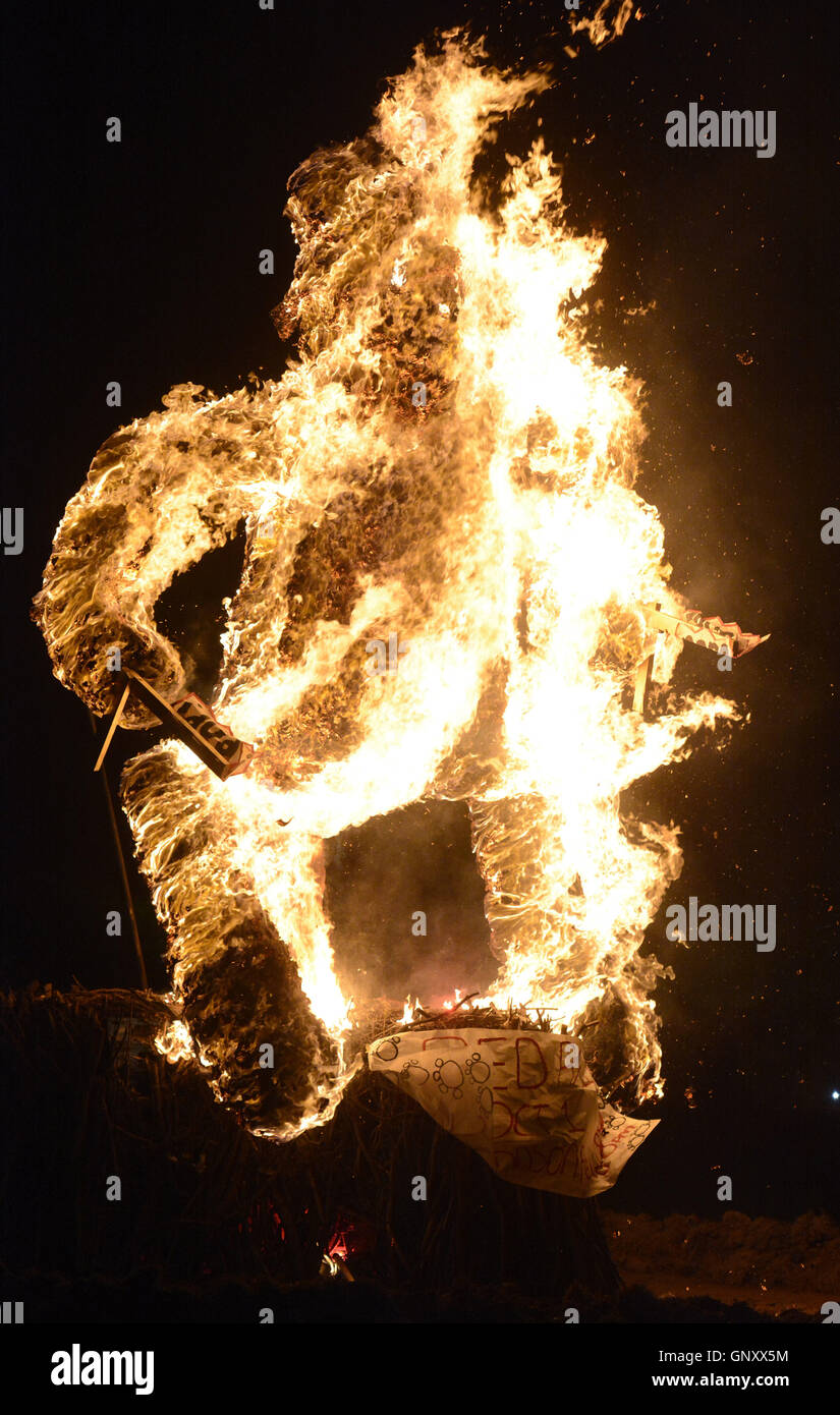 Usa. 1 octobre, 2015. SPORTS -- l'effigie Pistol Pete, mascotte de l'Université d'État du Nouveau Mexique, des brûlures dans Johnson Champ sur l'Université du Nouveau Mexique, le Jeudi, Octobre 1, 2015 au cours de la Rassemblement en rouge, d'un Pep Rally pour l'UNM-NMSU match de football sur Sarturday. © Greg Sorber/Albuquerque Journal/ZUMA/Alamy Fil Live News Banque D'Images