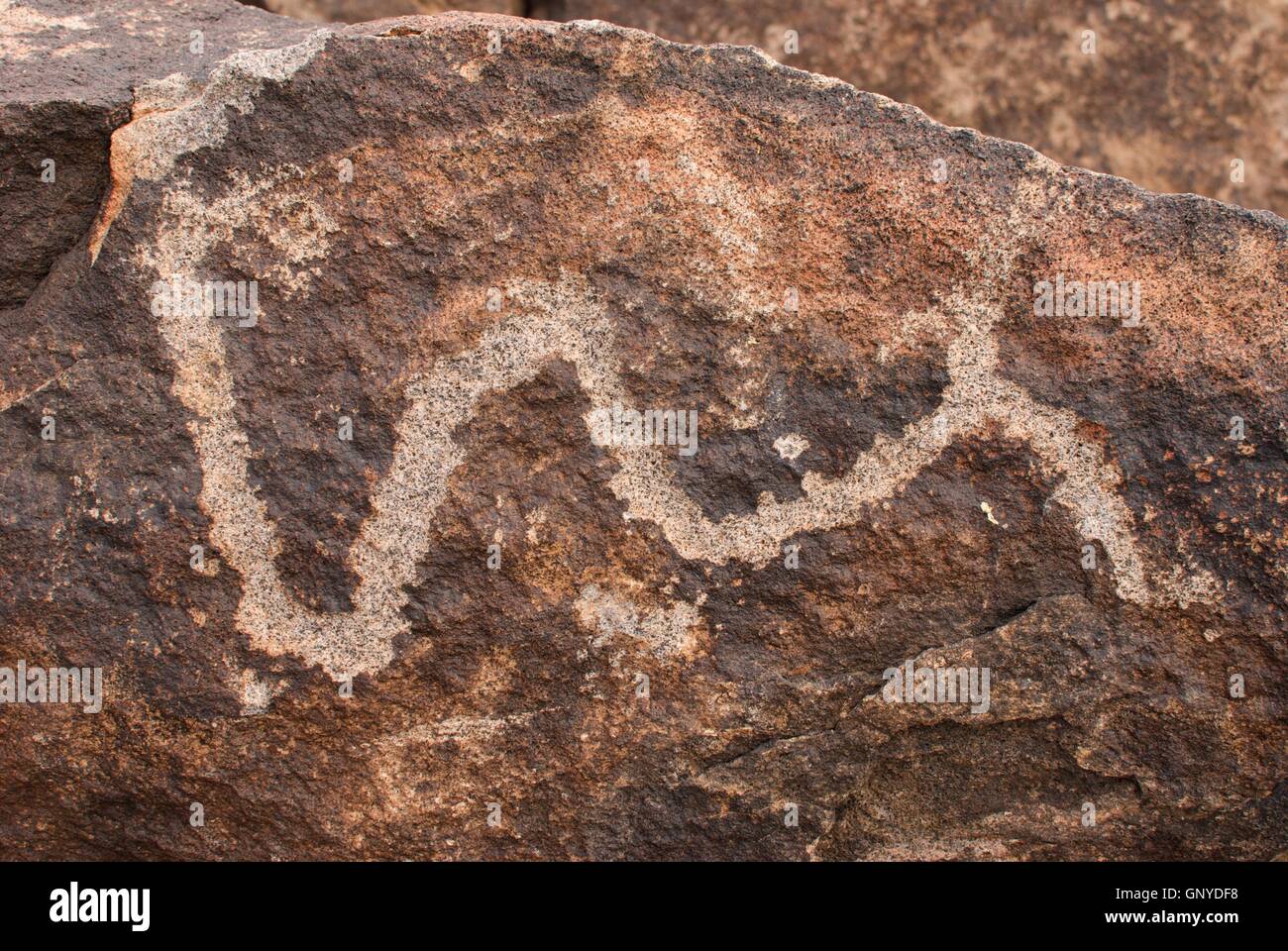 Icône d'Petraglyph Serpent Banque D'Images