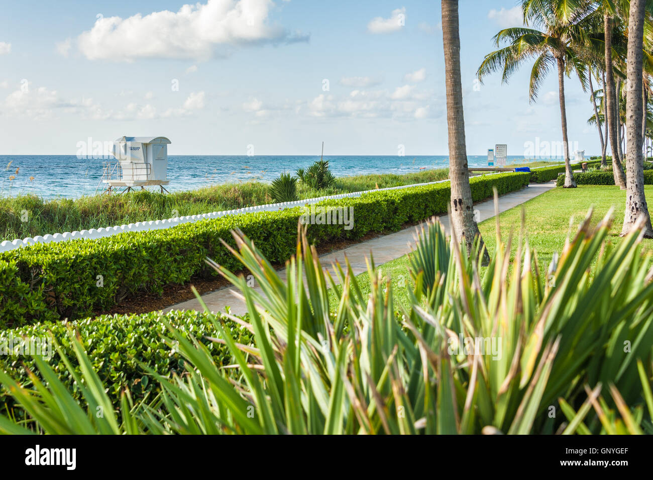 Palm Beach, Floride la belle vue sur la plage publique orientée vers le sud le long de South Ocean Drive. (USA) Banque D'Images
