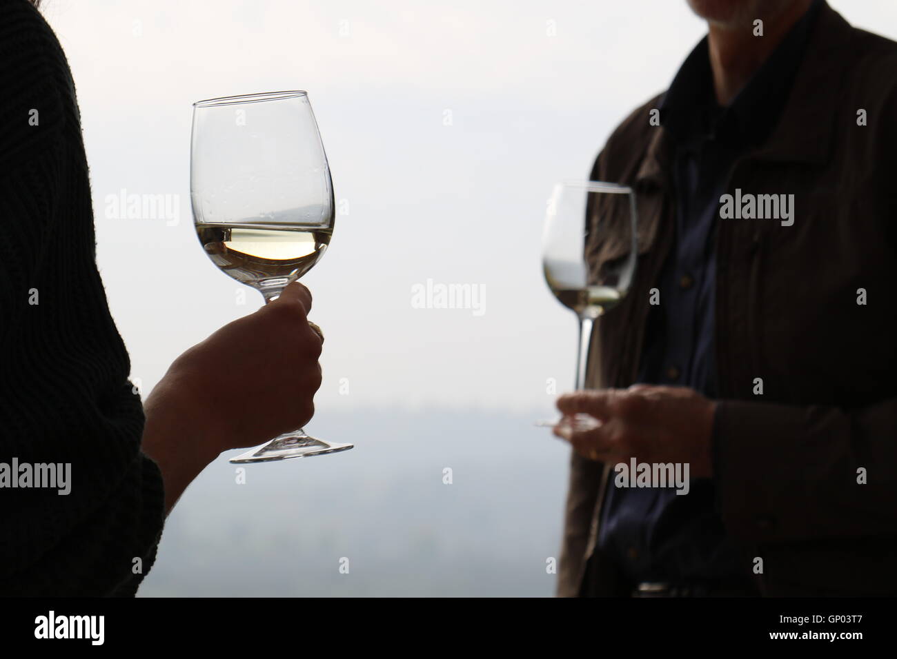 Dégustation de vin blanc deux personnes à Kingston Vignobles, vallée de Casablanca, Valparaiso, Chili Banque D'Images