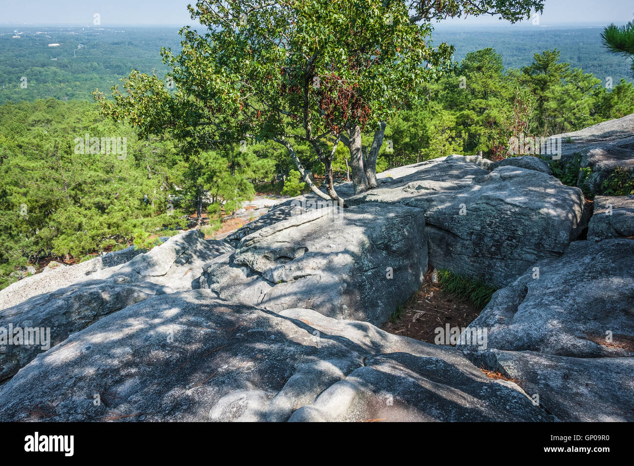 Vue depuis le sentier de randonnée sur Atlanta, Géorgie, Stone Mountain de Stone Mountain Park. (USA) Banque D'Images