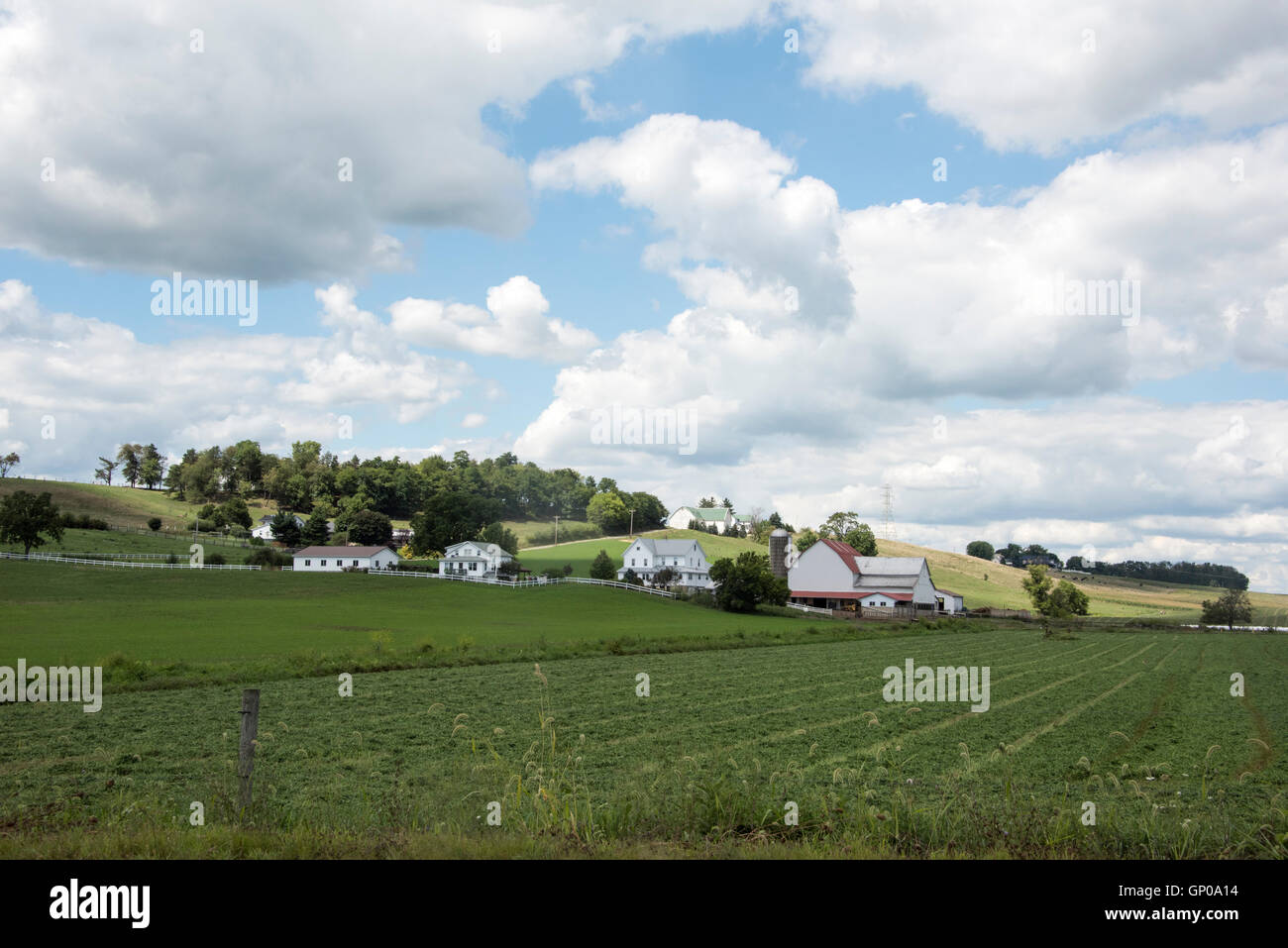 La famille Amish farm dans Holmes comté Ohio USA Banque D'Images