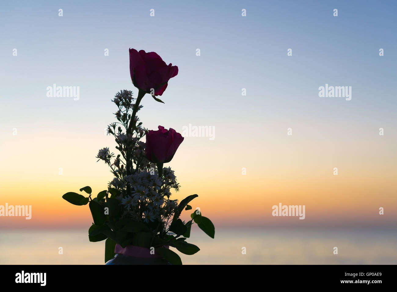 Silhouette de fleurs et plantes sur le coucher du soleil ou le lever du soleil fond. côté mer. Banque D'Images