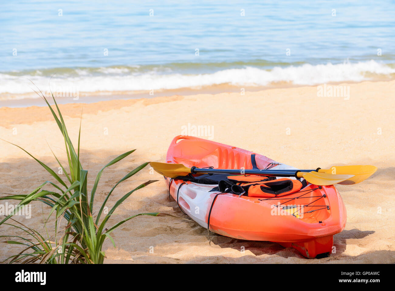 Un canoë sur la plage avec des palettes et gilet de sauvetage en journée ensoleillée. Banque D'Images