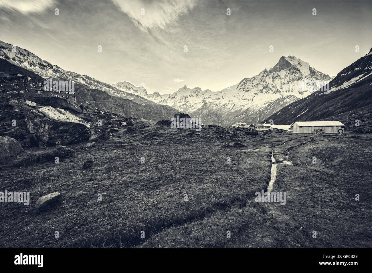 Vue sur le pic de l'himalaya le Machhapuchhare-Fish 6993 mme. monter le camp de base de l'Annapurna de queue, au Népal. Noir et blanc. Banque D'Images