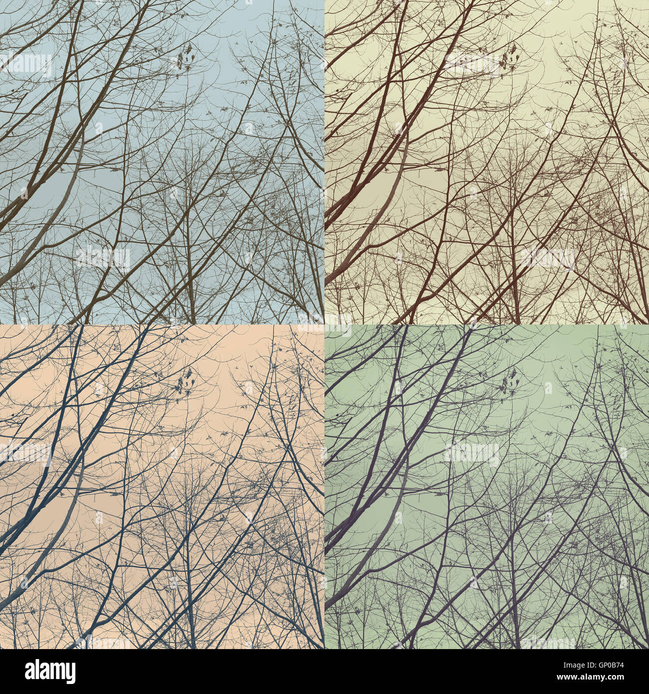 Direction générale de l'arbre d'automne Silhouette abstract background. Vintage style couleur 4 en 1 photo. Banque D'Images