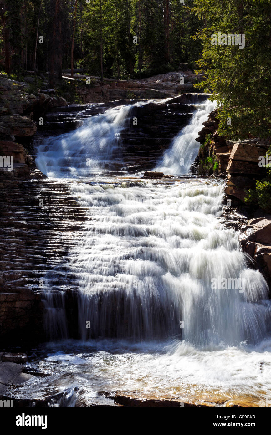 Provo River, sur les chutes de Mirror Lake Scenic Byway, Uinta-Wasatch-cache la forêt national de l'Utah Banque D'Images