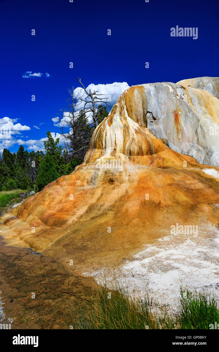 Vue verticale du printemps Orange Mound, Mammoth Hot Springs, Parc National de Yellowstone, Wyoming, USA Banque D'Images